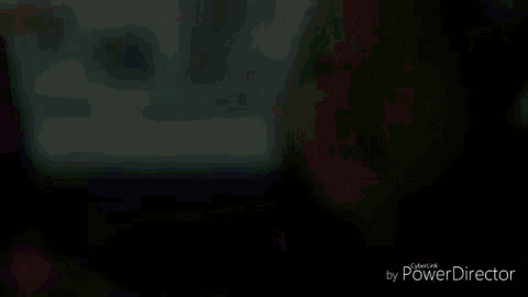 a blurry picture of a person 's face with the words power director at the top