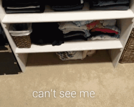 Family Cant See Me GIF - Family Cant See Me Hide GIFs