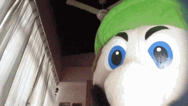 a stuffed animal wearing a green hat with blue eyes