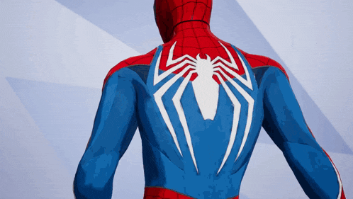 the back of a spiderman costume with a white spider on it