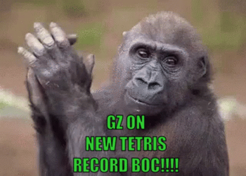 Monkey Tetris Record GIF - Monkey Tetris Record New GIFs