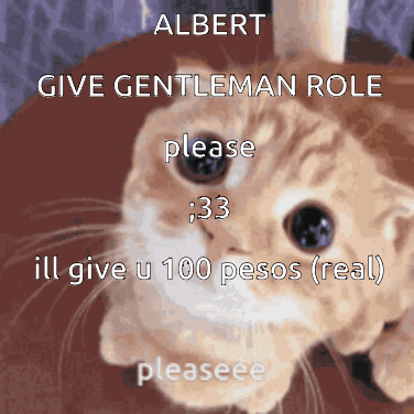 Albert Givegentlemanrole GIF - Albert Givegentlemanrole GIFs