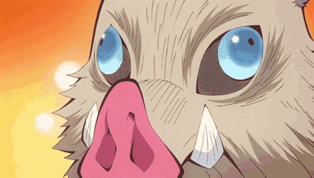 a close up of a boar 's nose with blue eyes