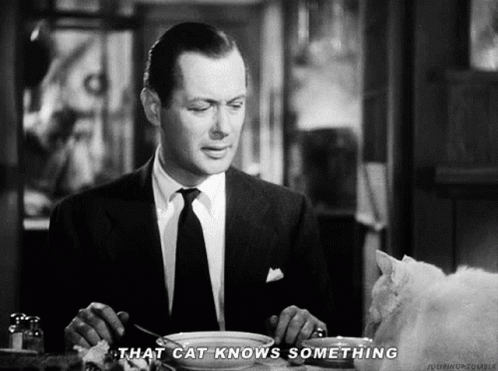 That Cat Knows Something Robert Montgomery GIF - That Cat Knows Something Robert Montgomery Vintage GIFs