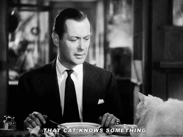 a man in a suit and tie is sitting at a table with a plate of food and saying that cat knows something