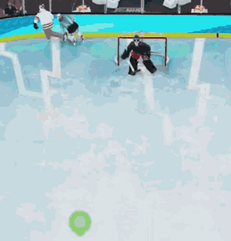 a hockey game is being played on a rink with a goalie