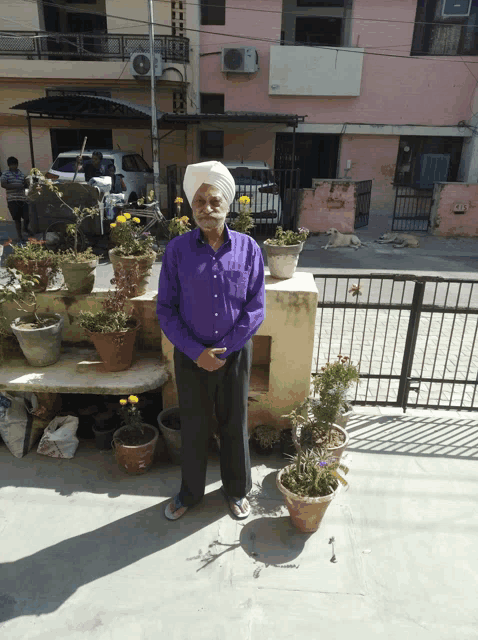a man in a purple shirt and turban stands in front of potted plants