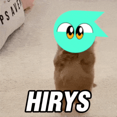 a picture of a cat with a cartoon face and the word hirys below it