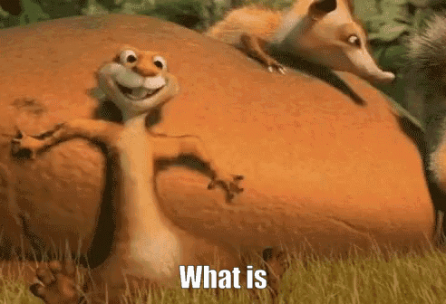 Hammy Over The Hedge GIF - Hammy Over The Hedge What Is That GIFs