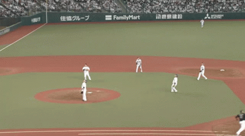 Baseball Makita GIF - Baseball Makita 野球 GIFs