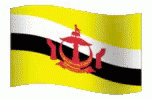 Brunei Flag GIF - Brunei Flag GIFs