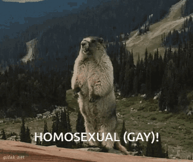 a ground squirrel standing on its hind legs with the words homosexual ( gay ) written below it