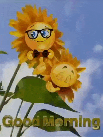 a picture of a sunflower with a smiley face and the words good morning