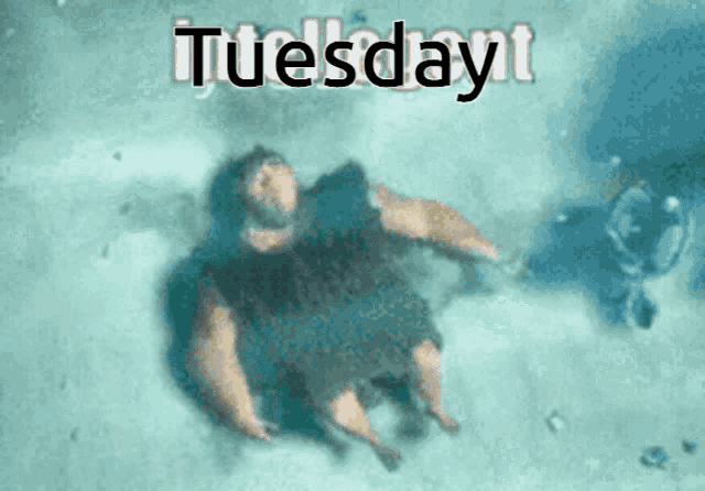 a picture of a person in the water with the words tuesday written above them