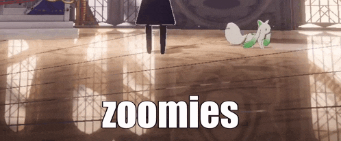 a cartoon drawing of a woman and a fox with the words zoomies above them