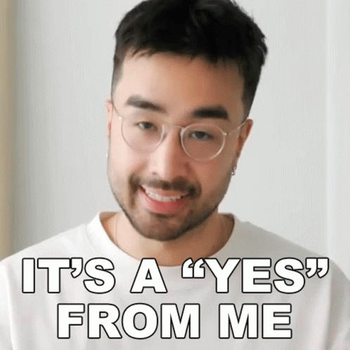 Its A Yes From Me Tim Dessaint GIF - Its A Yes From Me Tim Dessaint I Agree GIFs