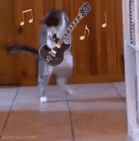 a cat is playing a guitar in a room with music notes .