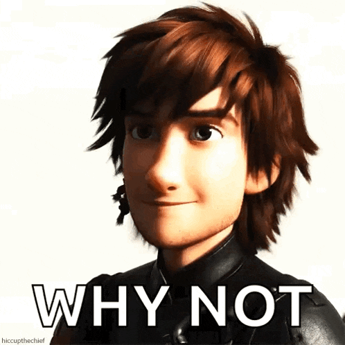 hiccup from how to train your dragon is smiling with the words why not below him