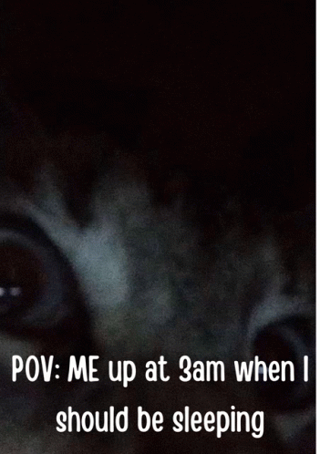 Cat 3am GIF - Cat 3am GIFs