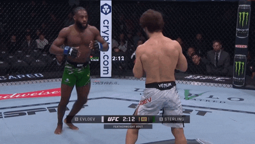 a boxing match between evldev and sterling is being shown on a screen