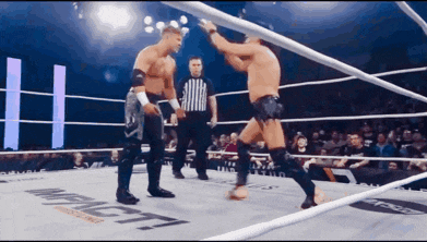 two men are wrestling in a ring with the word impact on the ground
