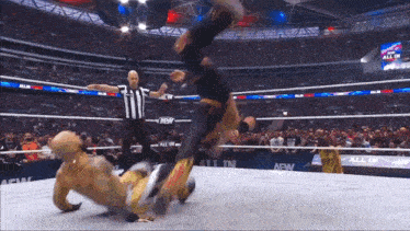 a wrestler is being thrown in the air by a referee in a wrestling ring that says all in