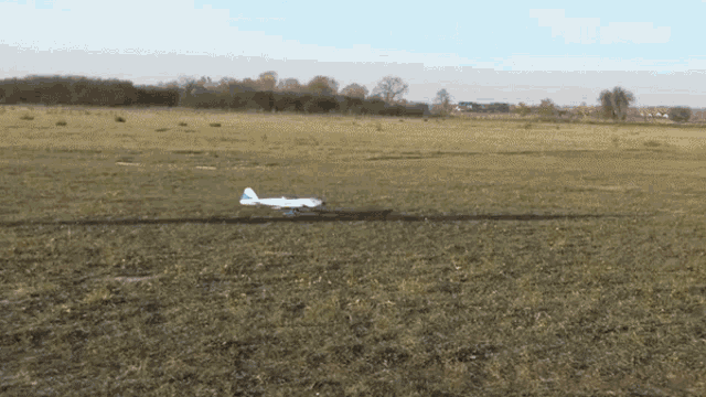 Fly Take Off GIF - Fly Take Off Flying GIFs