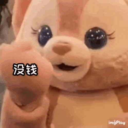 a close up of a stuffed animal with chinese writing on it pointing at the camera .