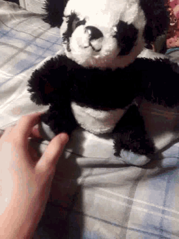 a person is touching a black and white stuffed panda bear on a bed