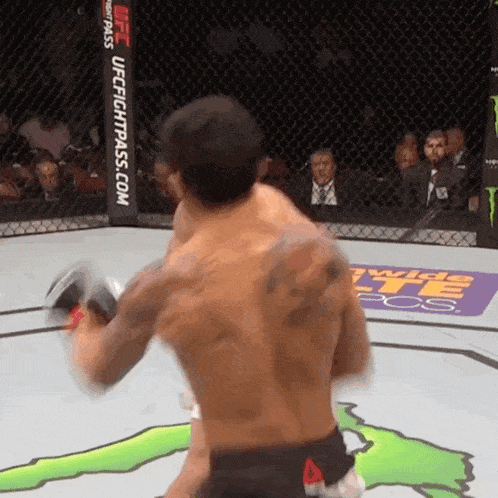 two men are fighting in a cage with a banner that says ufcfightpass.com in the background