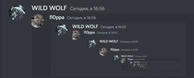 a screenshot of a discord chat with wild wolf