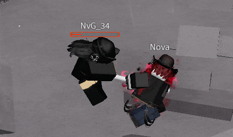 a screenshot of a video game with nvg 34 and nova