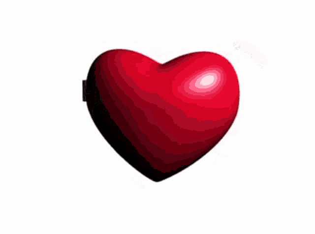 a heart shaped mirror with a picture of a man and the words `` i hate women '' written on it .