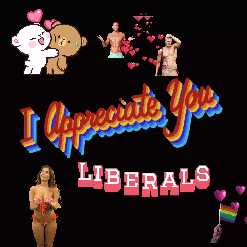 a poster that says i appreciate you liberals on it