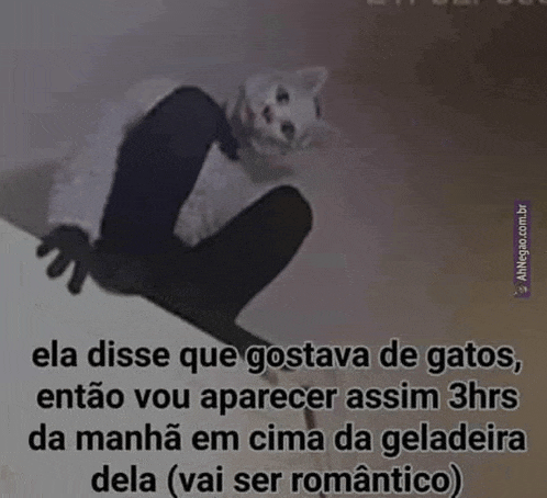 a picture of a cat with a caption that says " ela disse que gostava de gatos " .