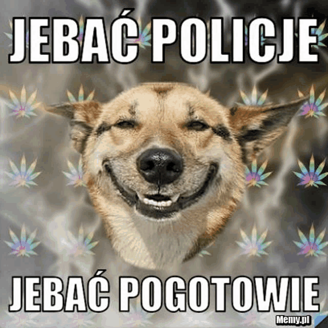 a dog is smiling with a marijuana leaf in the background and says jebac policie