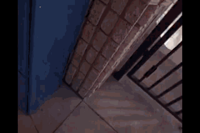 a brick wall with a blue door and a black railing