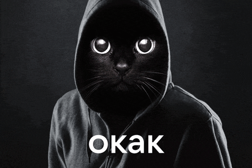a black cat wearing a hoodie with the word okak in white