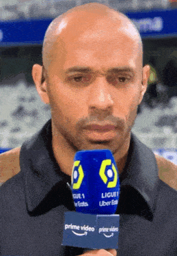 Thierry Henry Titi GIF - Thierry Henry Titi Not Incorrect GIFs
