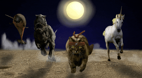 a t-rex a cat a whale and a unicorn are running in the desert