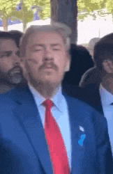 a man in a suit and tie with a mustache is standing in a crowd .