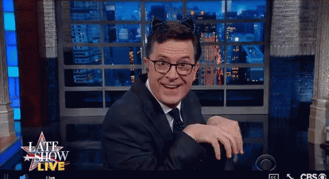 Oh Meow GIF - Stephen Colbert Kitty Cat GIFs