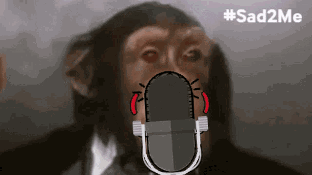 Monkey Talking GIF - Monkey Talking Microphone GIFs