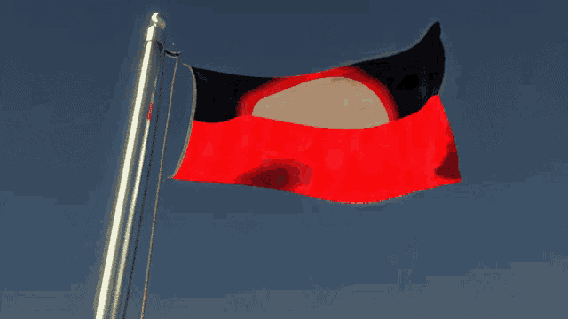 a red and black flag with a white circle on it