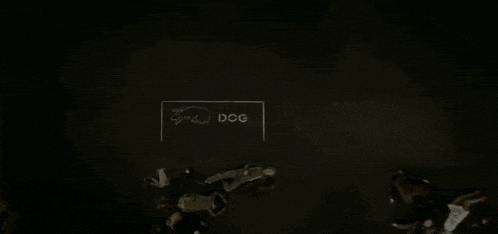 a dog is laying on its back in front of a sign that says c.i.