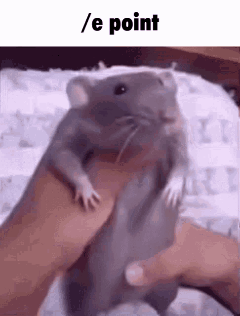 Rat Rat Dancing GIF - Rat Rat Dancing Roblox GIFs