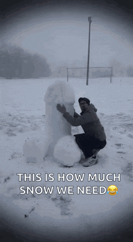 a man kneeling down next to a snowman that says this is how much snow we need on it