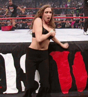 Wwe World Wrestling Entertainment GIF