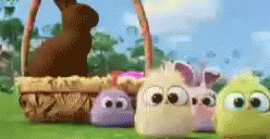 Hatchlings Angry Birds GIF - Hatchlings Angry Birds GIFs