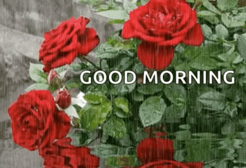 Good Morning Sparkles GIF - Good Morning Sparkles Roses GIFs